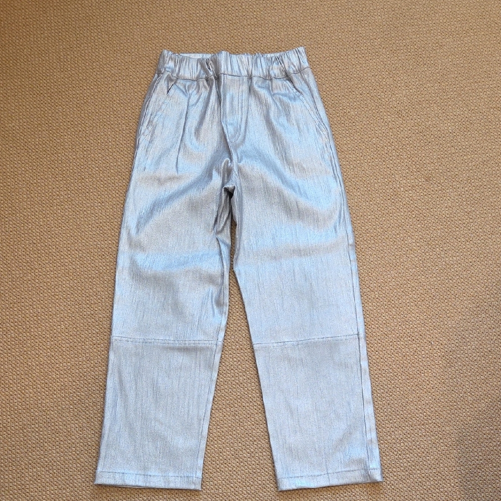 Zara Kids Silver Pants